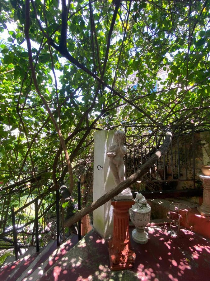 Cafe Hostel Kebab Σαλβαντόρ Εξωτερικό φωτογραφία