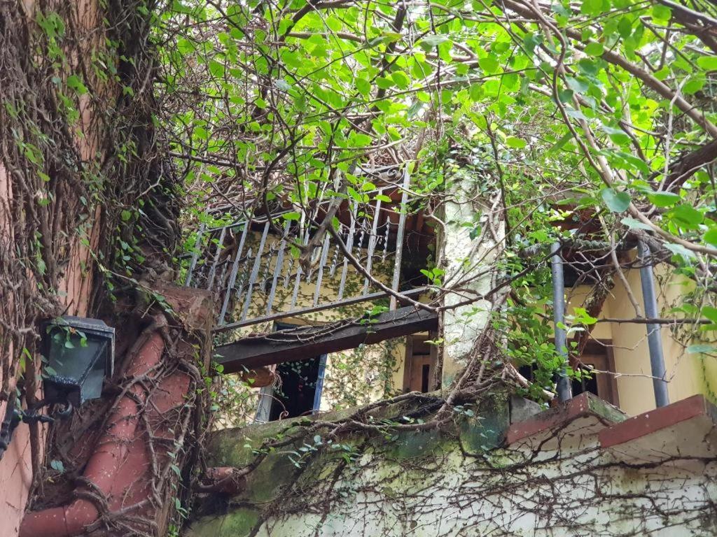 Cafe Hostel Kebab Σαλβαντόρ Εξωτερικό φωτογραφία